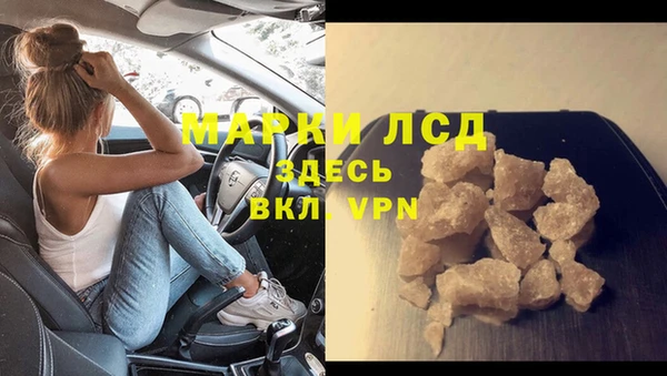прущие грибы Алексеевка