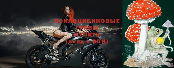 прущие грибы Алексеевка